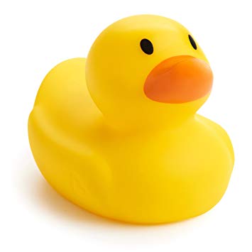 Duck Single Variant